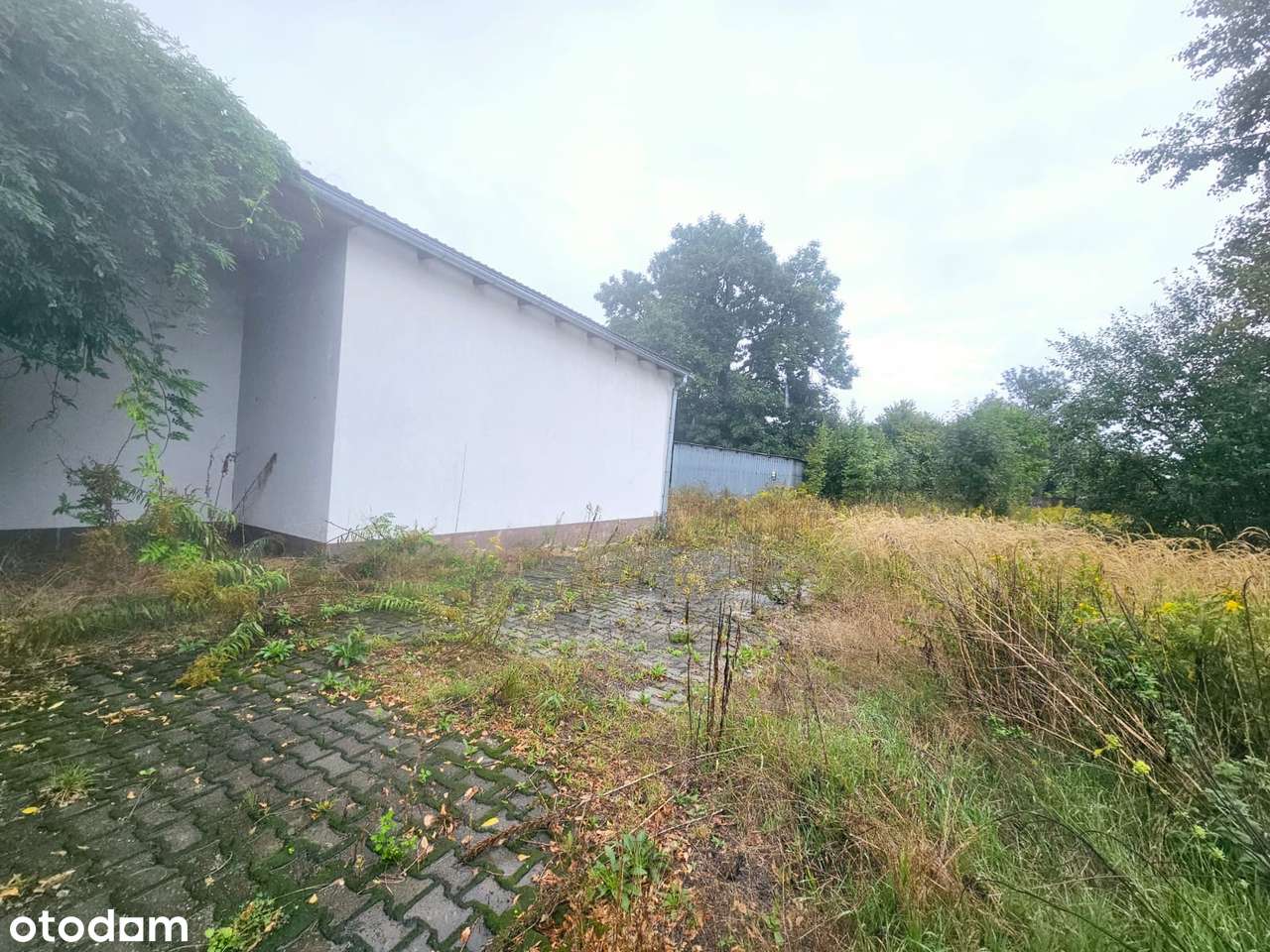 Przestronna działka inwestycyjno-budowlana - Pełny obrazek: 5/6