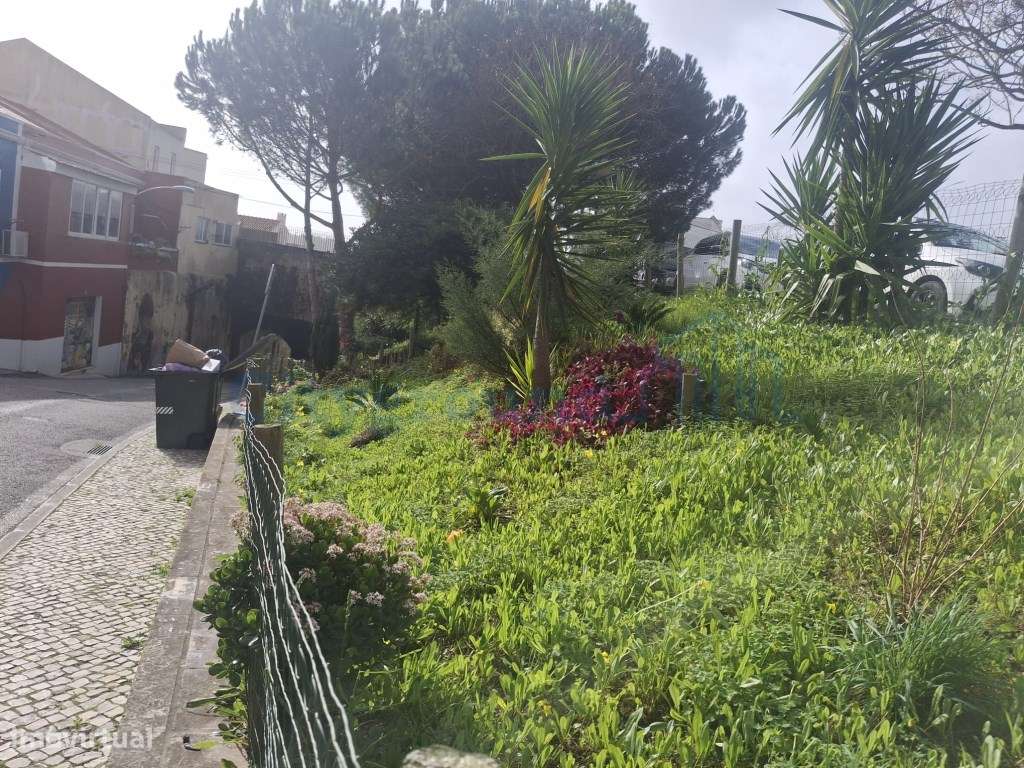 Moradia para reabilitar em Campolide - Grande imagem: 5/13