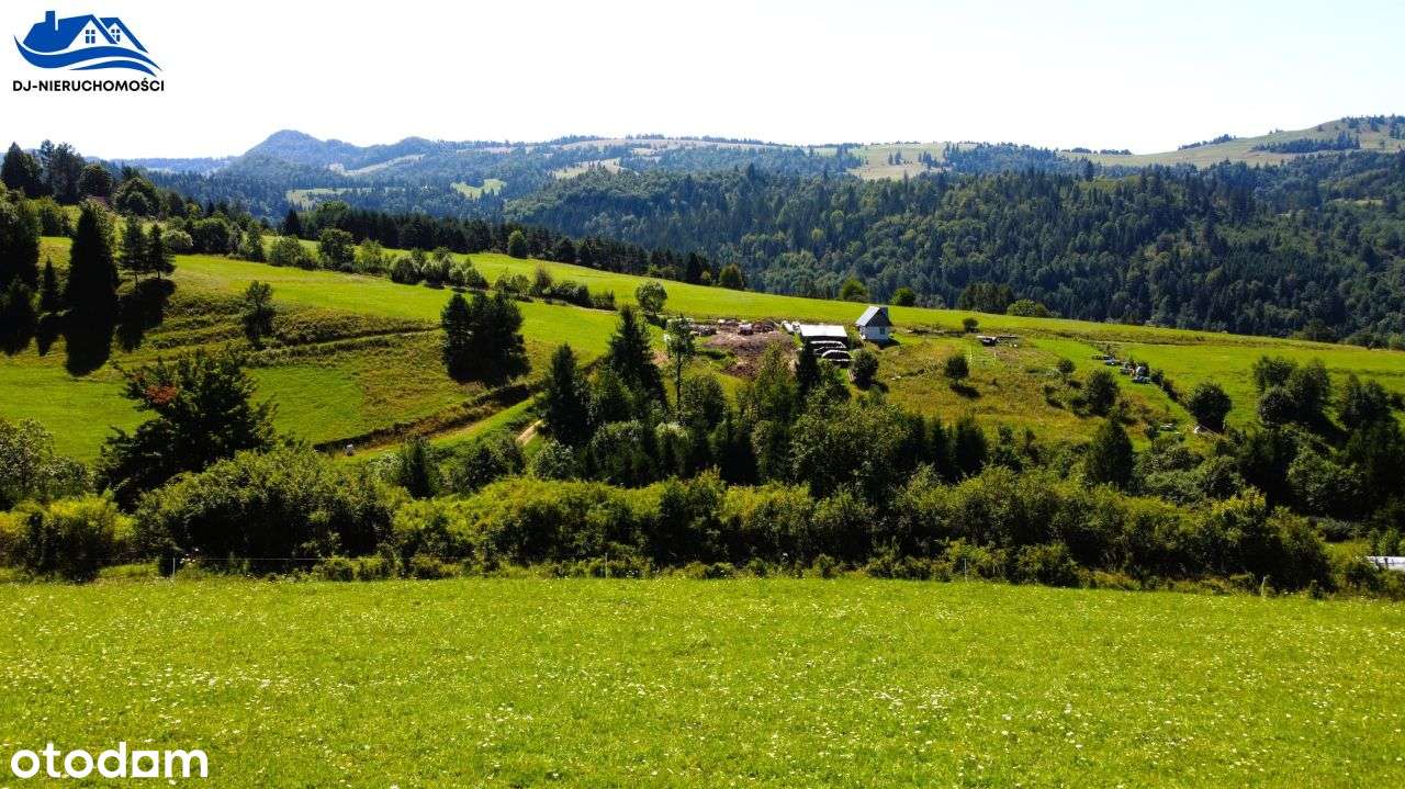 Działka inwestycyjna - Pieniny - Gmina Szczawnica.-6