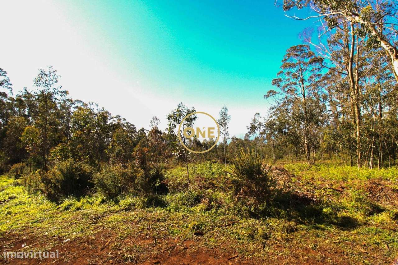 Terreno - Grande imagem: 5/10