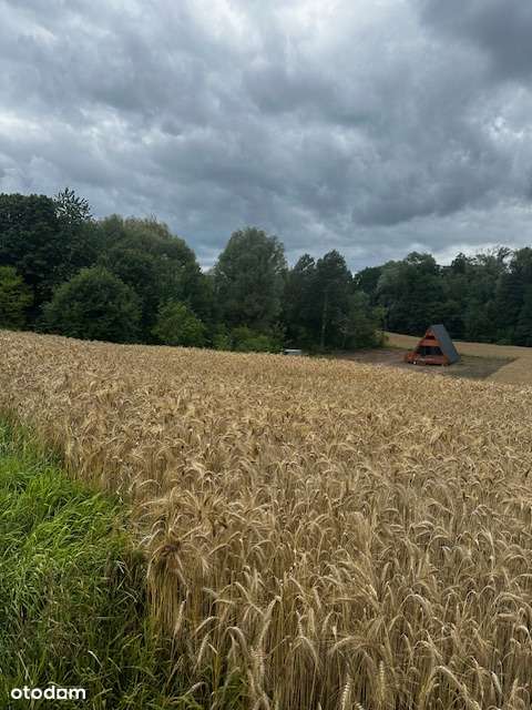 Warunki Zabudowy - działki rekreacyjne blisko jeziora !-5