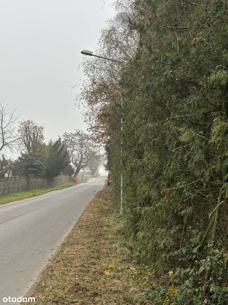 Wyjątkowa działka budowlana 2500m² - ogrodzona, media, nasadzenia MPZP - Pełny obrazek: 5/10