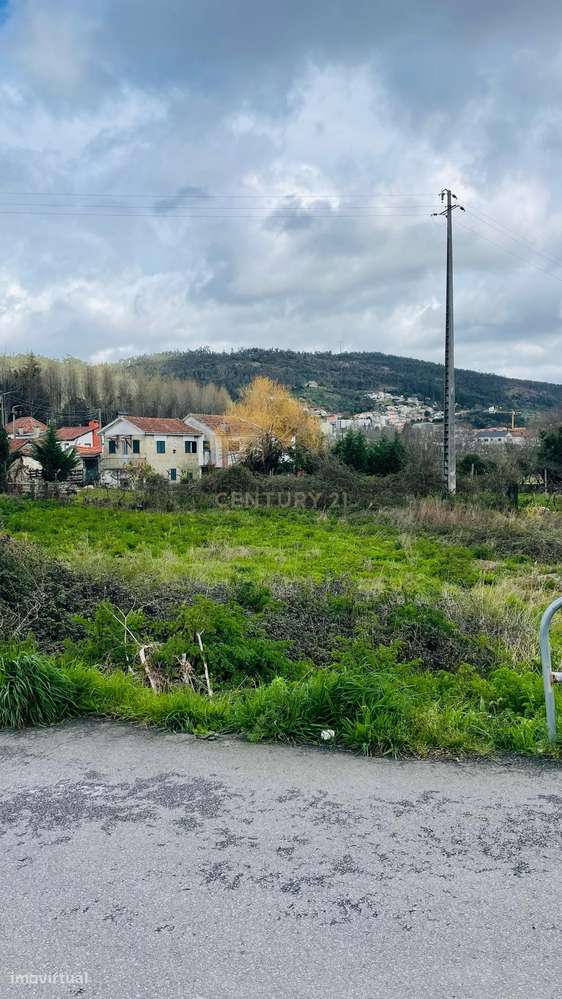 Terreno com Projeto Aprovado para Moradia Térrea com Piscina – Baltar - Grande imagem: 4/15