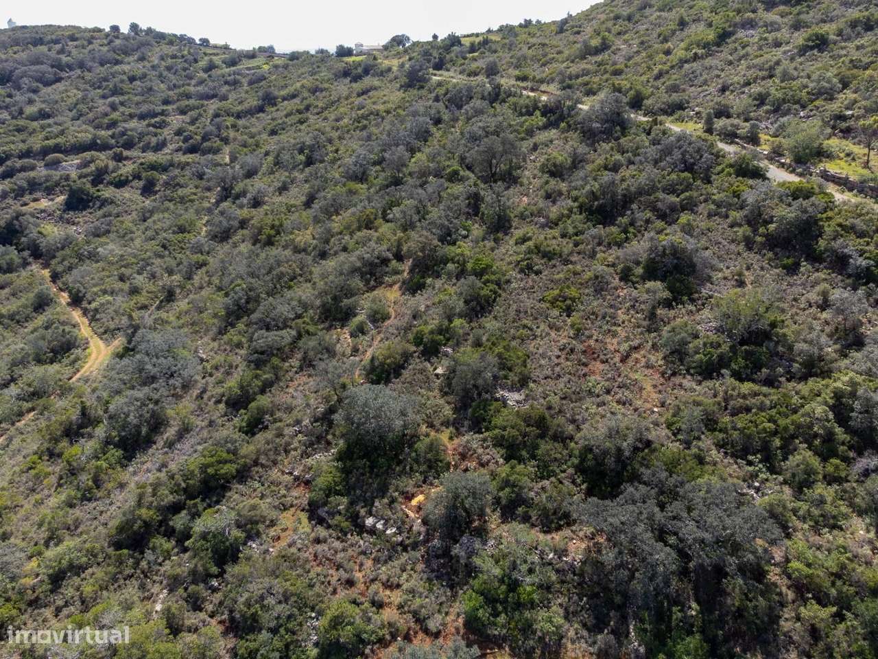 Terreno Rústico, Santa Bárbara de Nexe - Grande imagem: 5/15
