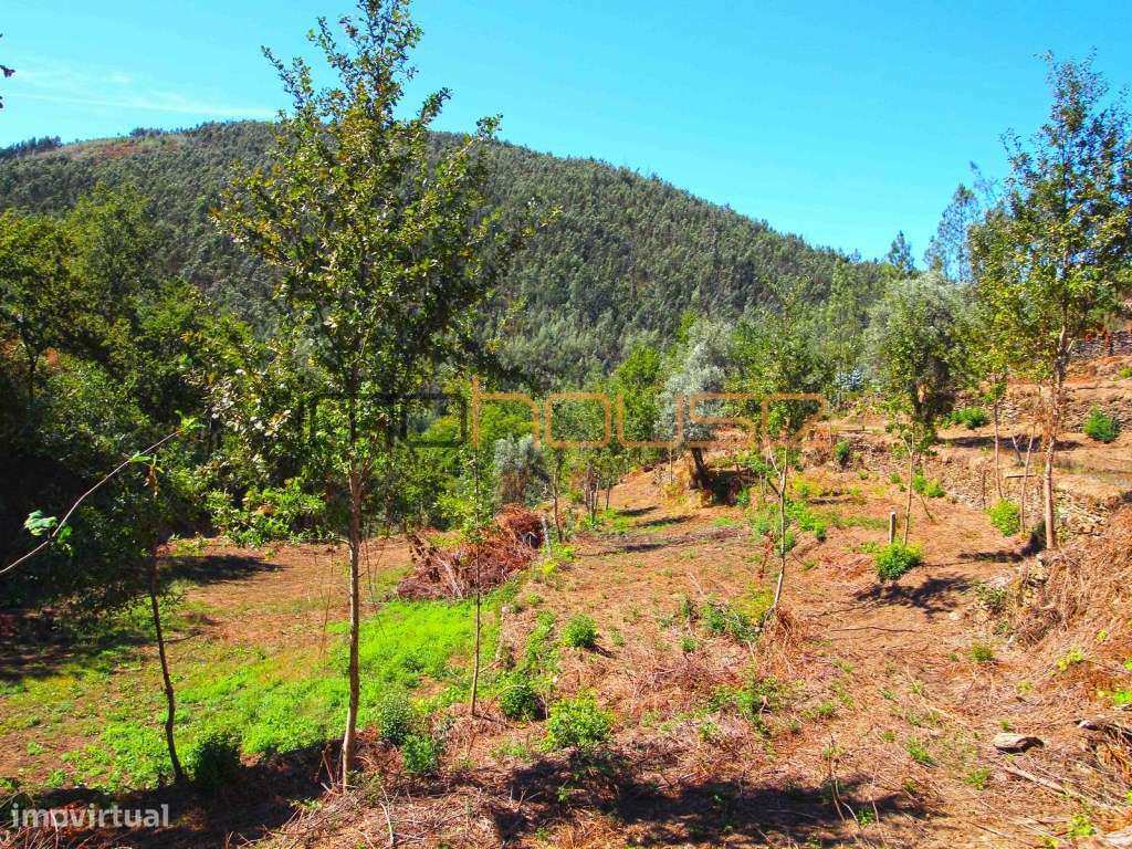 Quinta Isolada com Margem de Rio e Potencial de Eco-Retiro - Arouca-40