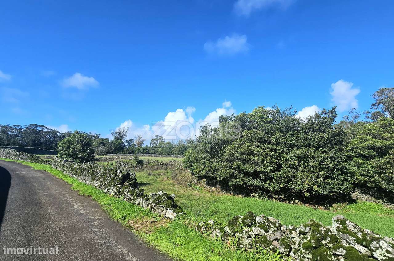 Terreno agrícola - Canada do Pico do Alho, concelho da Ribeira Grande - Grande imagem: 4/20