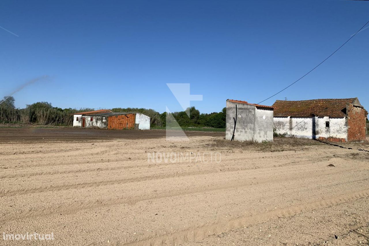 Poceirão - Terreno c/ 20.500 m2 c/ viabilidade de construção