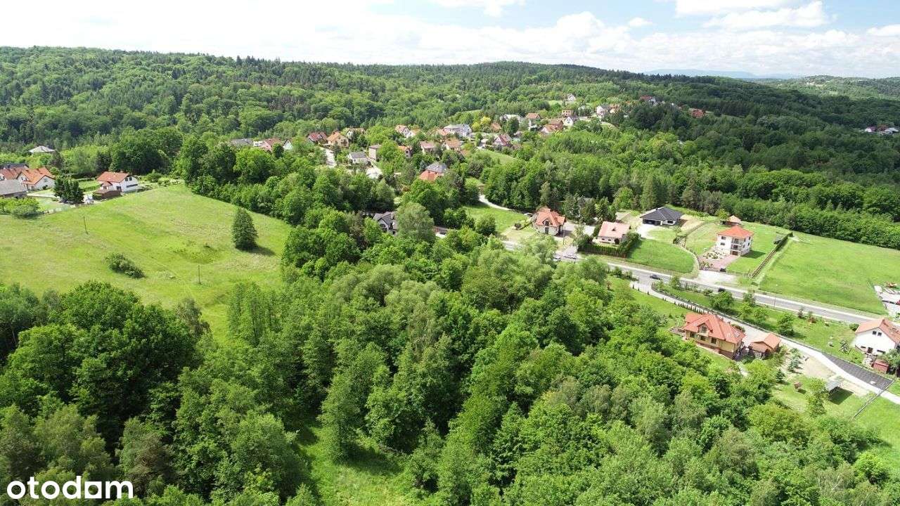 Bochnia - ul. Wiśnicka działka 2,4836ha-3