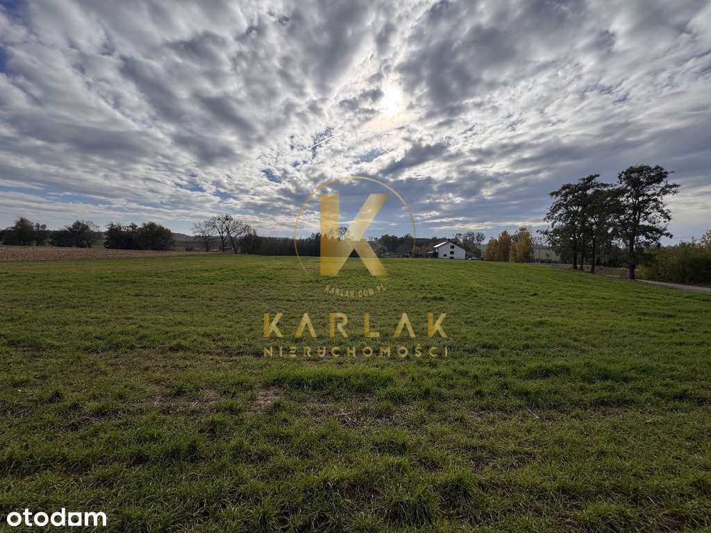 Działki budowlane w Międzychodzie koło Śremu z WZ-5