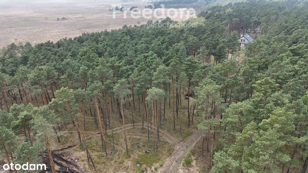 Na sprzedaż działka 1621 m² Dziwnów - Pełny obrazek: 5/20