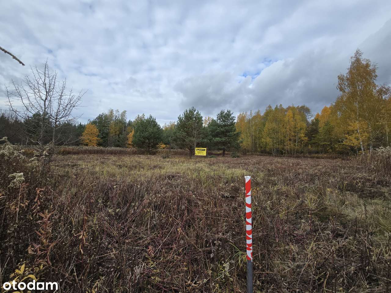 Działka budowlana 1000m² blisko lasu MPZP bezposrednio - Pełny obrazek: 4/6