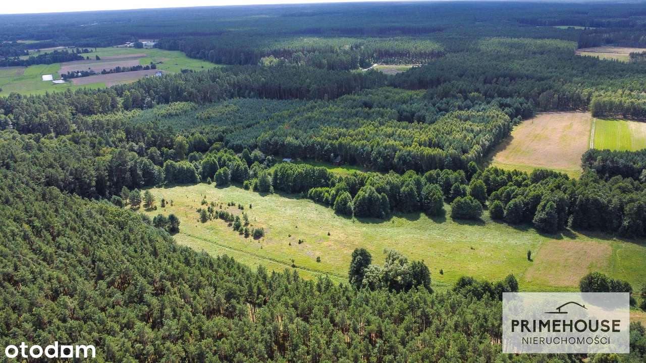 Wyjątkowe działki nad rzeką 3000 m² w sercu Borów Tucholskich - Pełny obrazek: 4/8