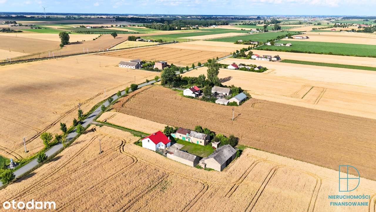 Dom z dużą działką 1,05 ha – Franki, gm. Krośniewice-6