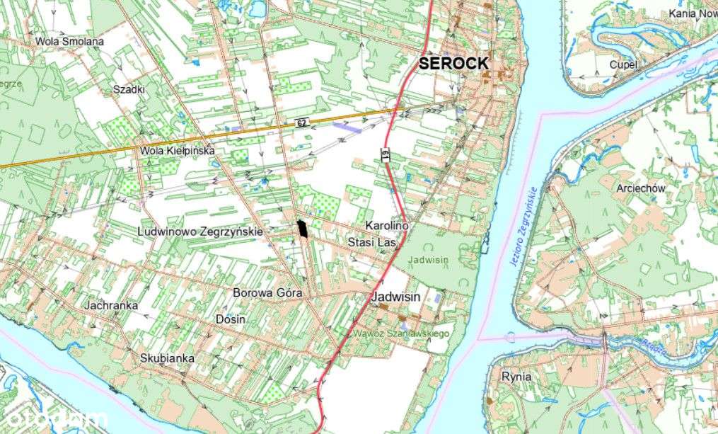 Stasi Las 7 012 m² | Idealne pod inwestycję-1