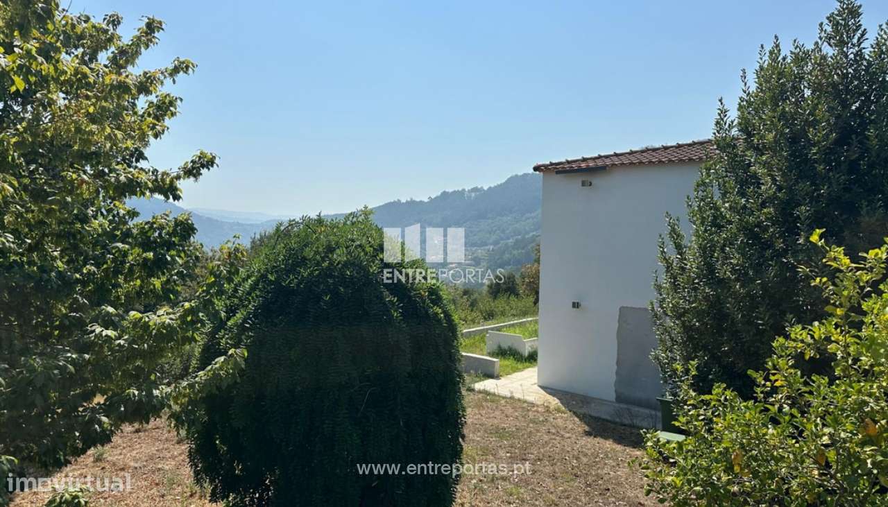 Venda Quintinha V2, São Lourenço do Douro, Marco de Canaveses - Grande imagem: 4/42