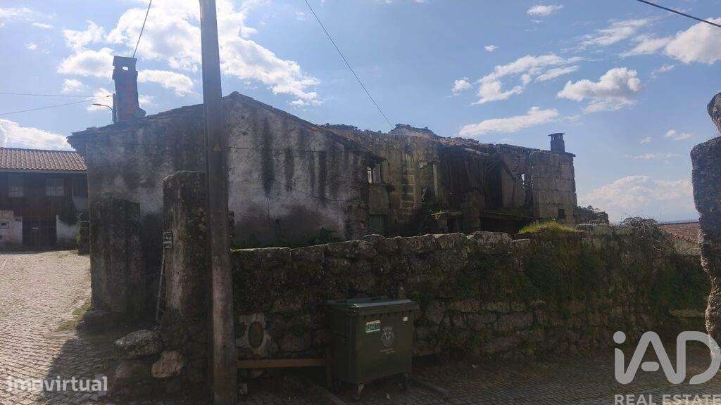 Terreno em Seixo da Beira - Grande imagem: 4/4