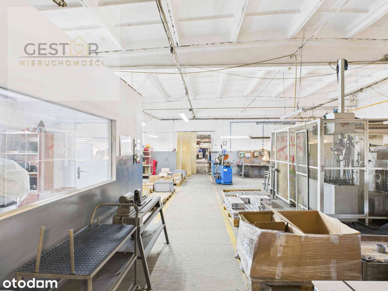 Kompleks hal produkcyjno-magazynowych z biurami – gotowy do inwestycji-17