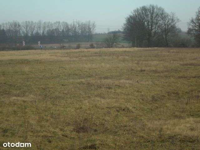 Działka przy S3 Brzozowo trasa nad morze - Pełny obrazek: 4/7