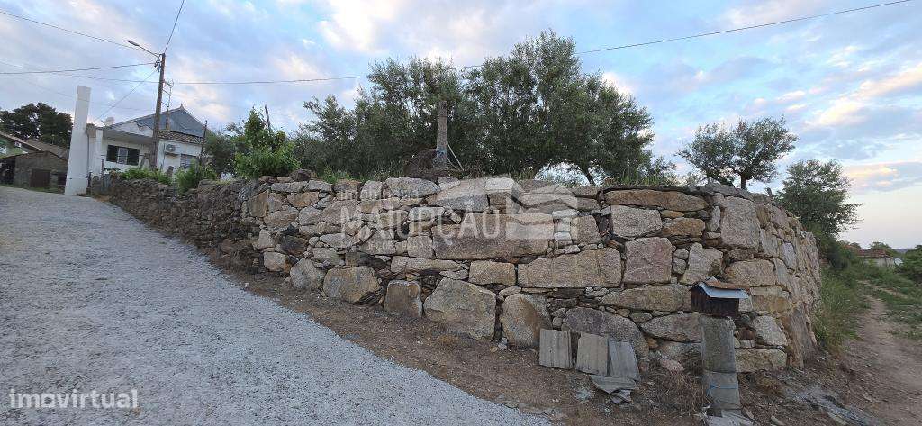 Casa à Venda em Vilar de Rei – Mogadouro - Grande imagem: 4/20