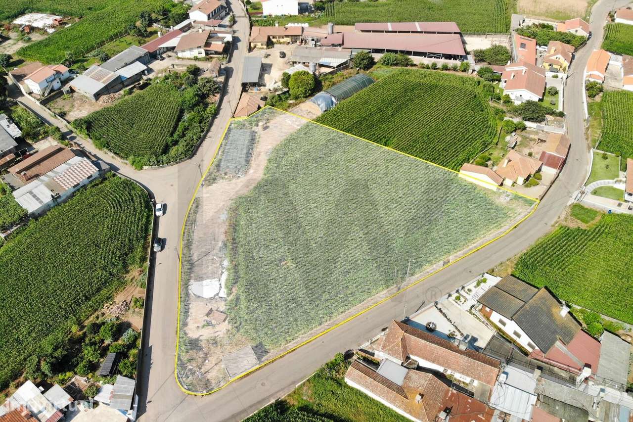 Terreno com Elevado Potencial para Investimento – Avanca, Estarreja-4
