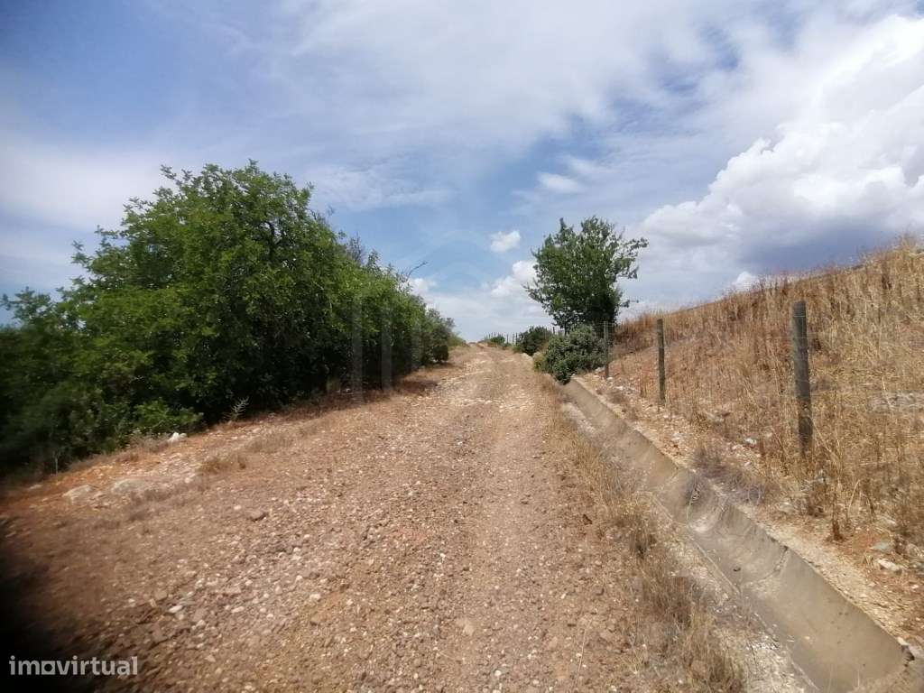Terreno rústico junto à A22 na Mexilhoeira Grande, Algarve - Grande imagem: 4/15
