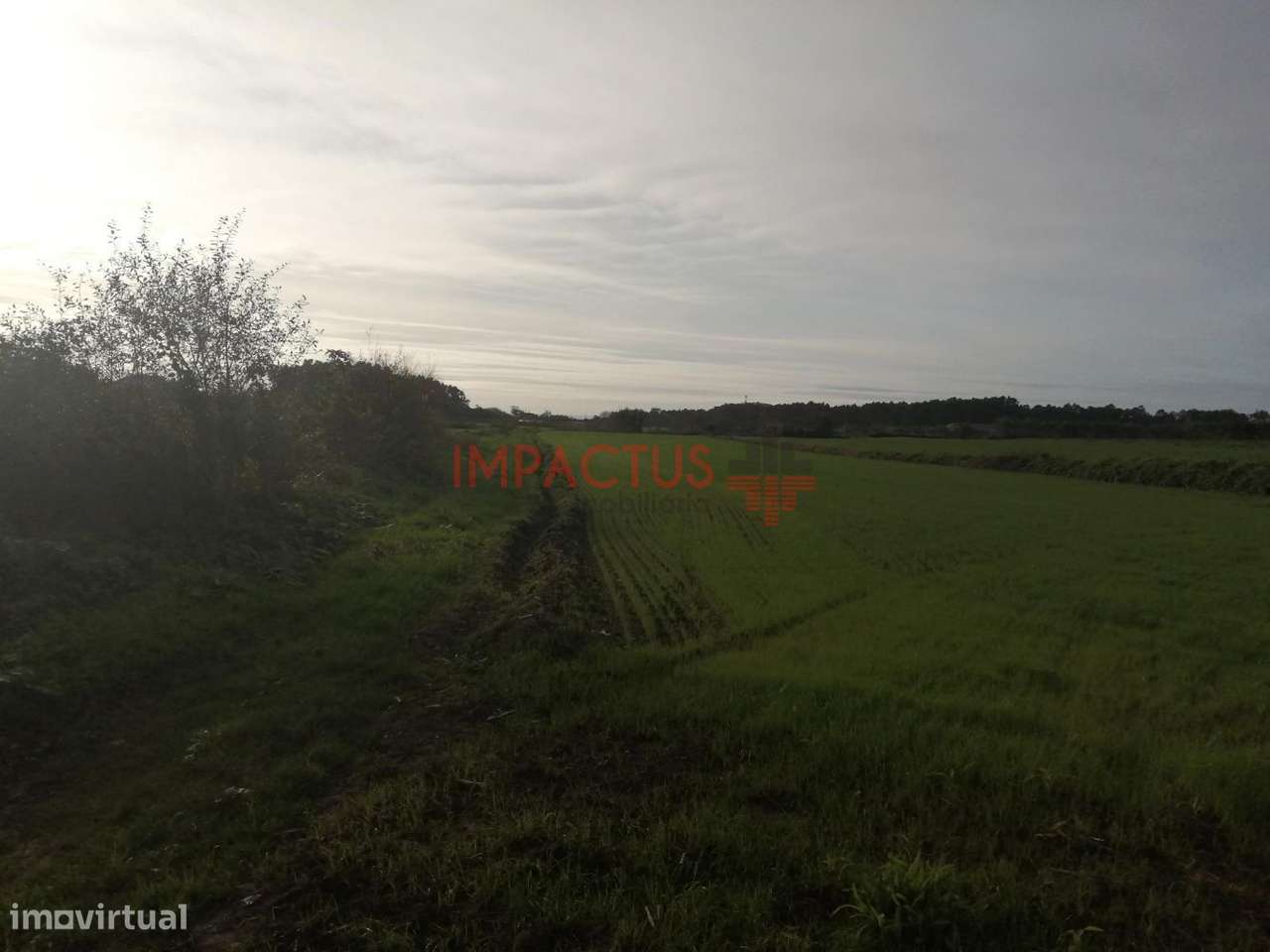 Terreno de 3600m2 em Lavra - Grande imagem: 5/9