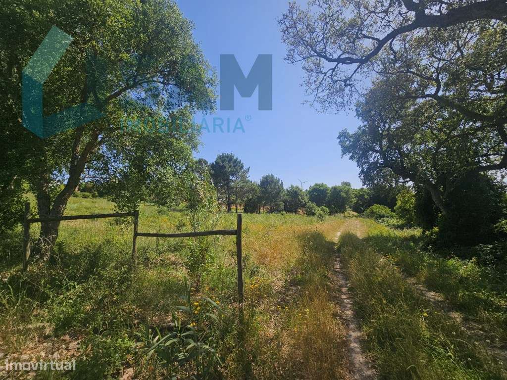 Terreno inserido no perímetro Urbano - Grande imagem: 5/23