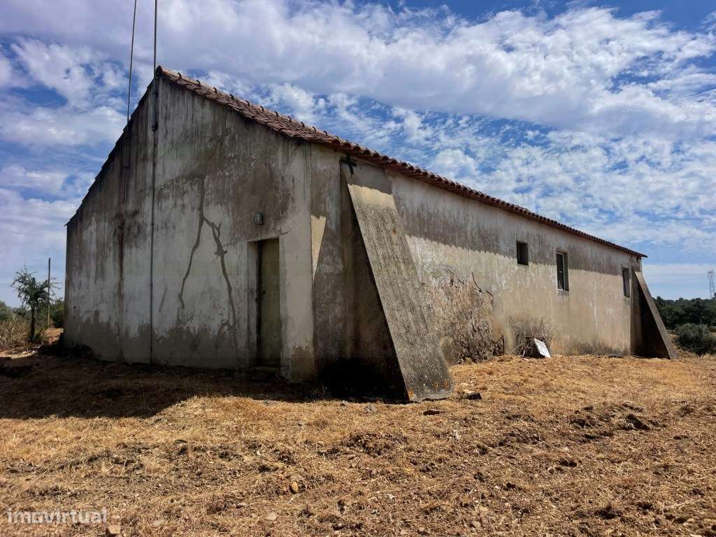 HERDADE COM 100 HECTARES E BASTANTE ARBORIZAÇÃO-27