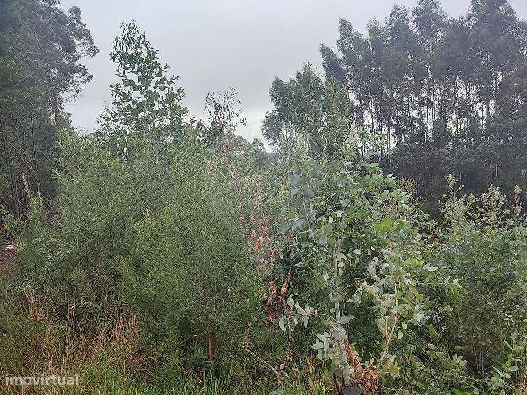 Terreno  para venda - Grande imagem: 4/10