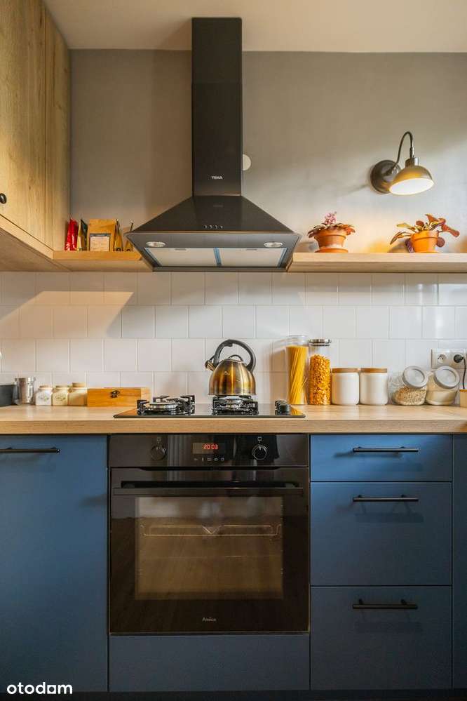 3 pokoje w sercu zielonej Różanki | film - Pełny obrazek: 5/20