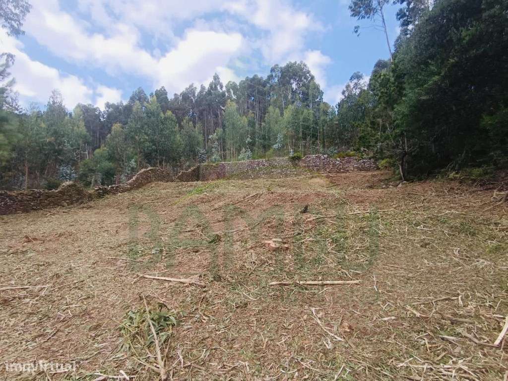 Terreno Urbano com projeto aprovado em Vilarelho. - Grande imagem: 5/13