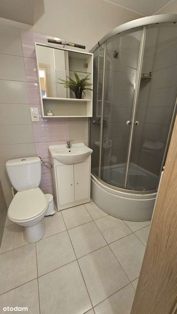 2 pok. Rozkładowe z balkonem, Dla studentów ,Rynek Staromiejski-10