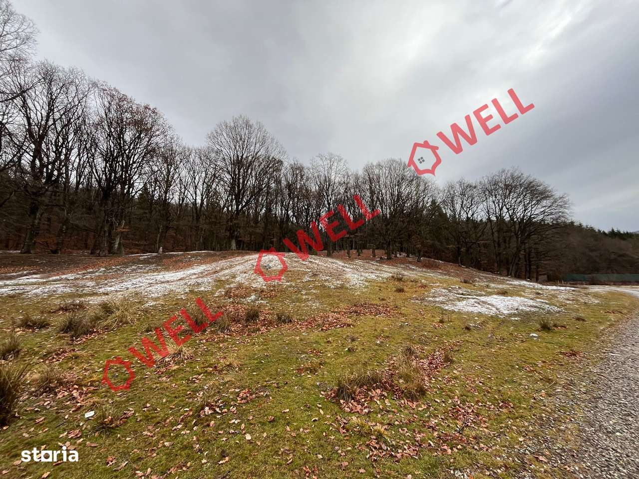 Teren intravilan de vânzare în Chiuruș! - Imagine principală: 2/5