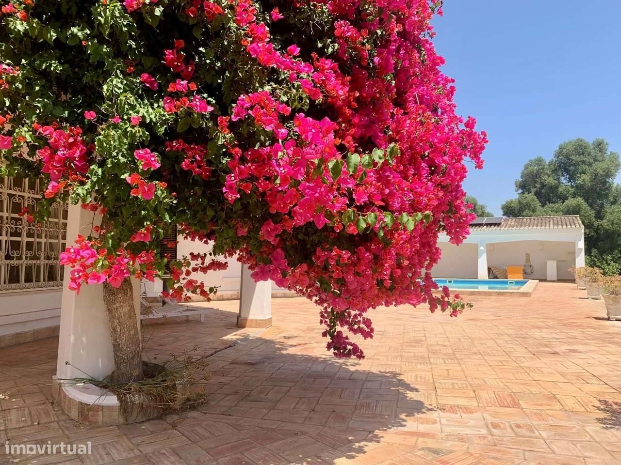 MORADIA DE FAMÍLIA COM 3 QUARTOS, 1 ESTÚDIO E PISCINA PARA VENDA - Grande imagem: 4/43