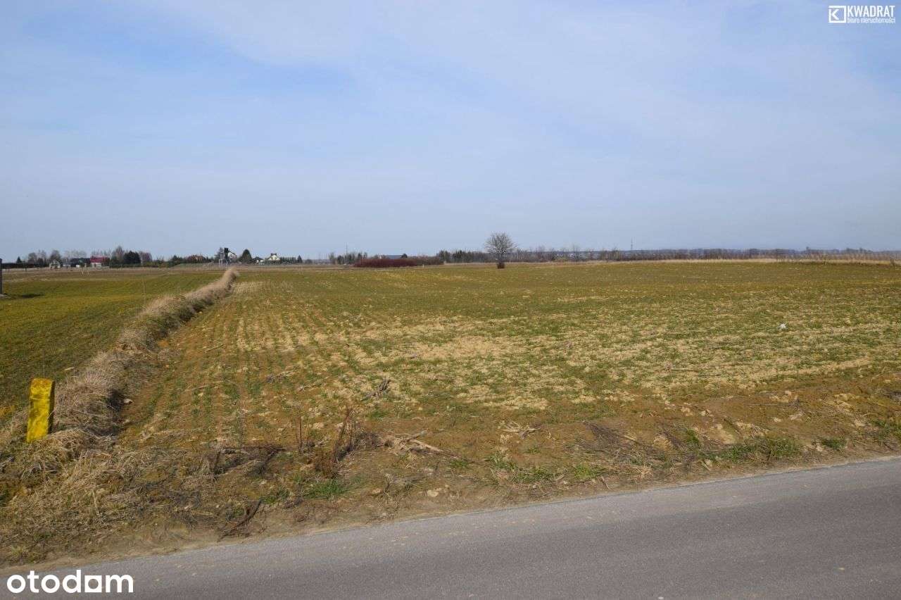 Panieńszczyzna/ działka budowlana/ 18 ar - Pełny obrazek: 4/4