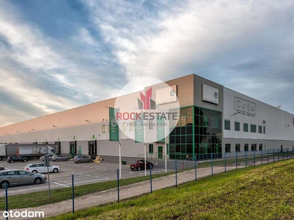 Magazyn na wynajem Błonie - 0% prowizji-9