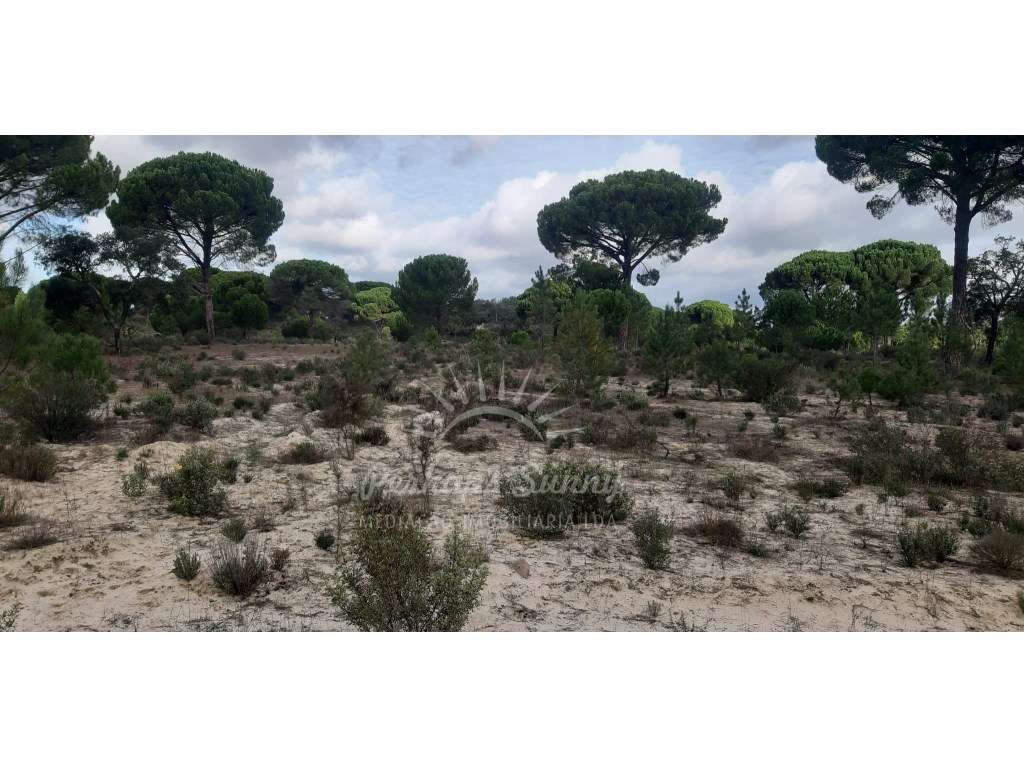 Terreno Rústico - 30 Ha - Grande imagem: 4/5