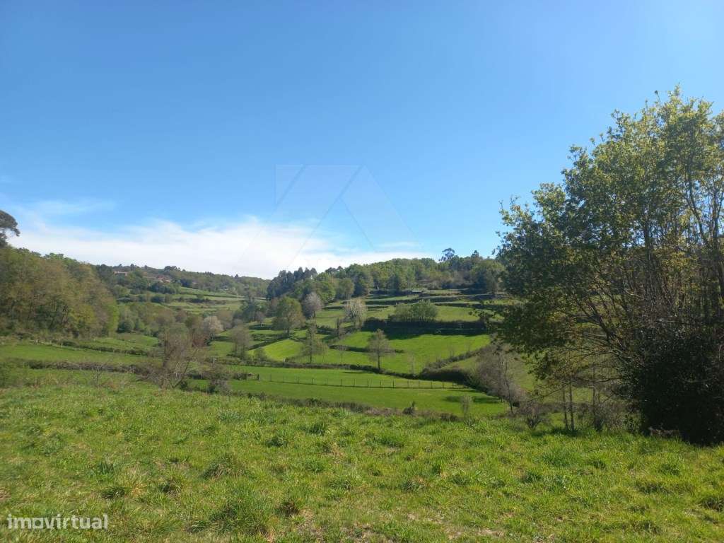 Casa para restauro em Bico-17