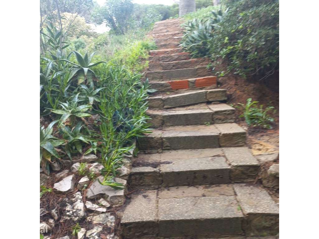 Excelente Moradia térrea com lote de 2430 m2 , com piscina e acesso...-30