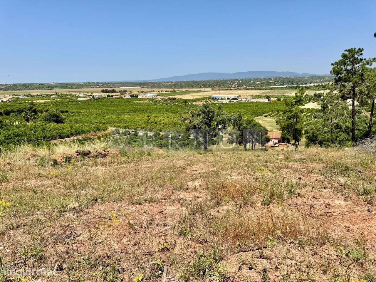 Algarve, para venda, terreno com ruina, em zona calma no Sobral em Por - Grande imagem: 5/16