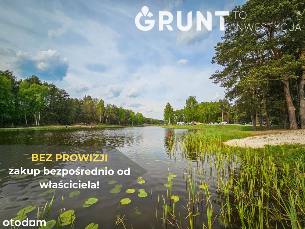 Działki budowlane położone przy ścianie lasu - Pełny obrazek: 5/12