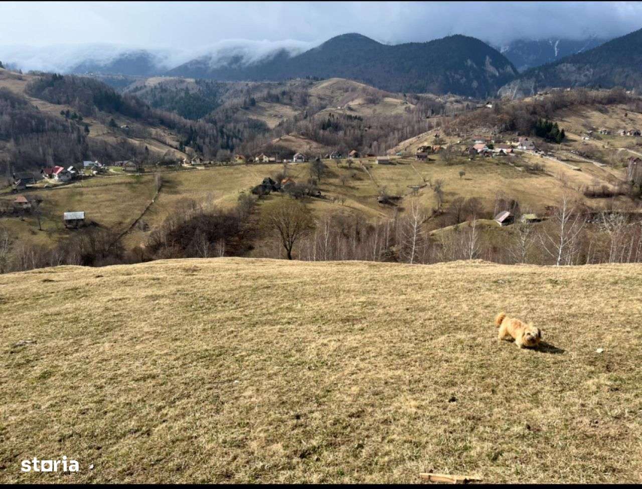Vanzare Teren cu Punct de Belvedere în Moieciu zona Magura-Pestera - Imagine principală: 4/20