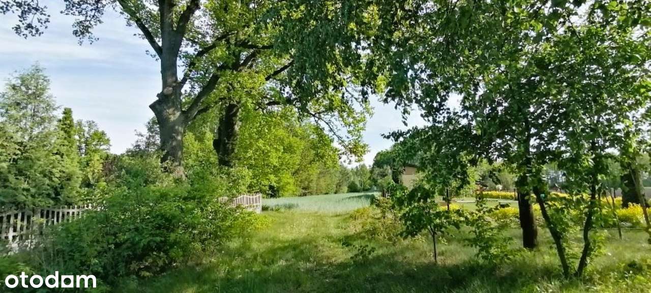 Działka gm. Drużbice, Józefów, 9032 m2 - Pełny obrazek: 4/8