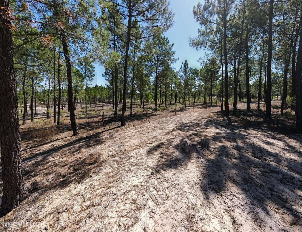 Quinta na Muda, Comporta — 48.540 m2 | Projecto aprovado | Arquitecto - Grande imagem: 5/27