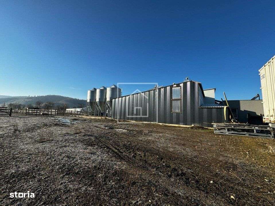 Fabrica de Furaje FNC cu Ferma de Struti in Cornatel - 13Km de Sibiu - Imagine principală: 2/19