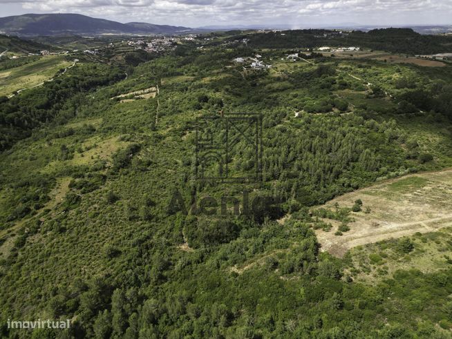TERRENO MISTO COM 48Ha EM ALENQUER!-2