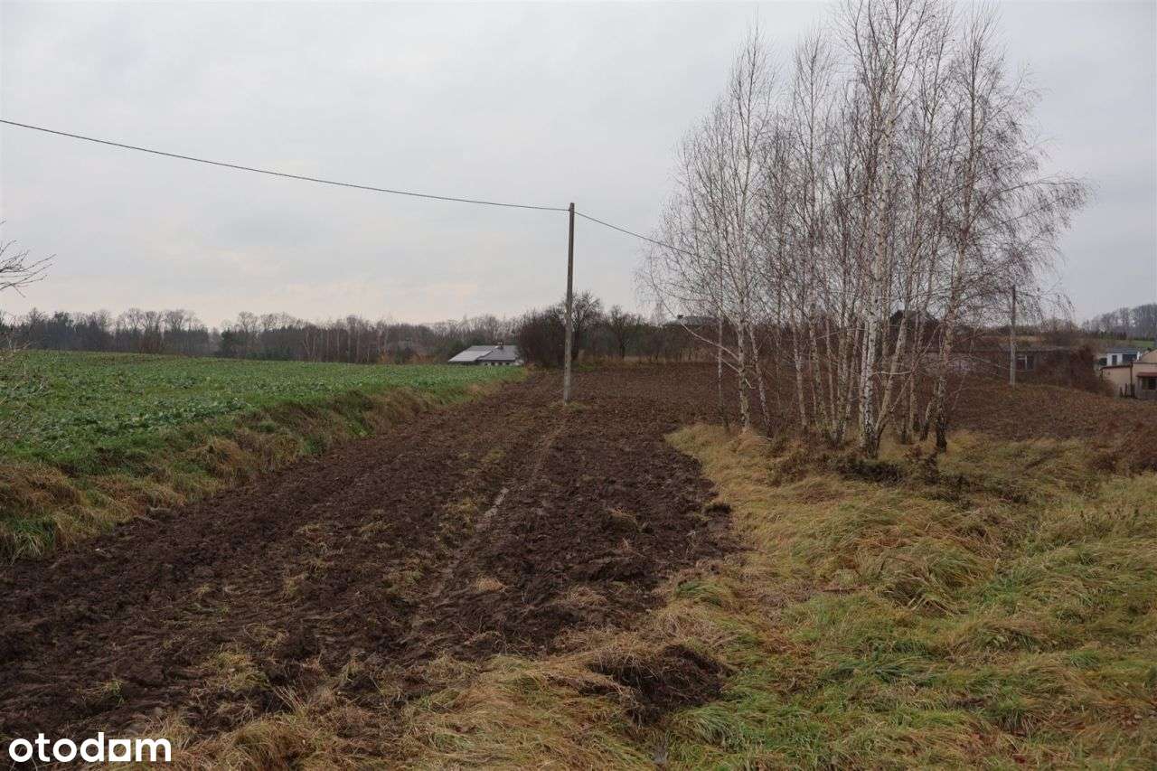 Działka w pobliżu jeziora - Łapinóżek-10