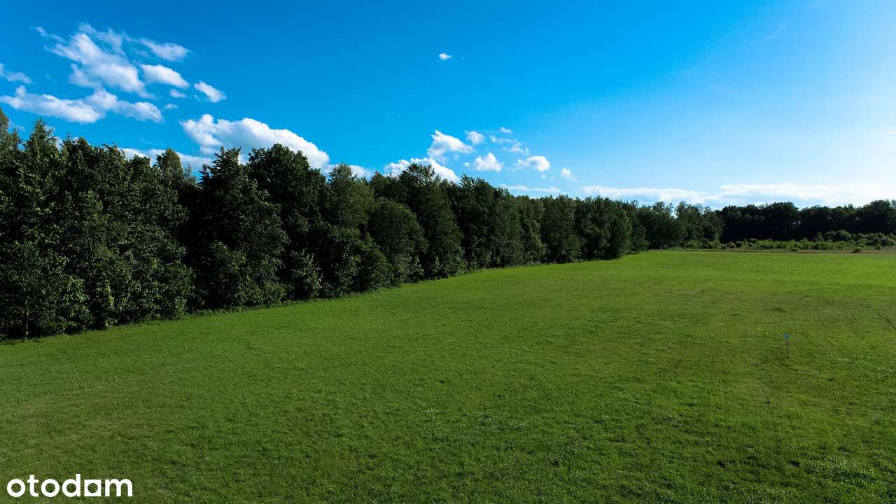 Działka przy lesie, możliwe raty 0%, sprawdzona pod nową ustawę - Pełny obrazek: 4/8