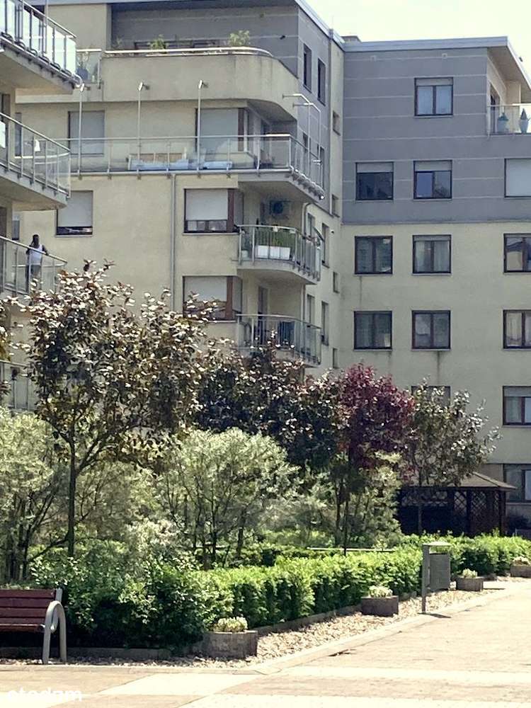 Luksusowy duży apartament z tarasem - Krzyki-1