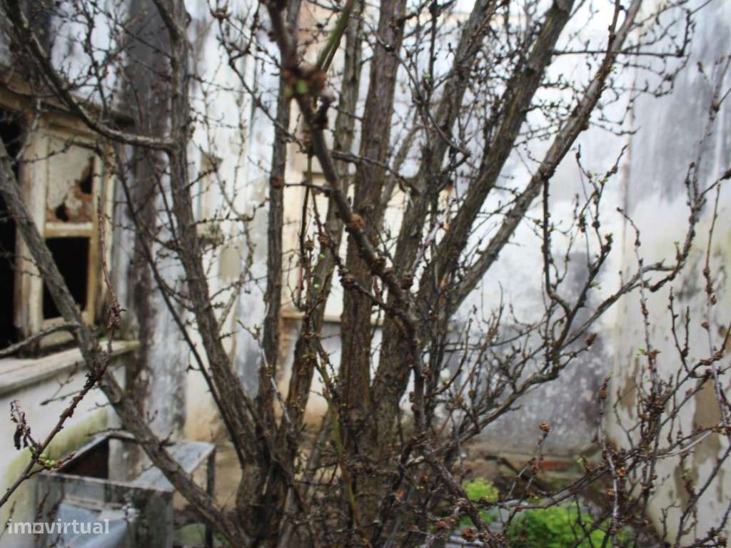 Prédio no Centro de Vendas Novas - Grande imagem: 5/15